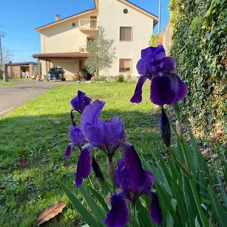 Flavia 21 Bed & Breakfast Elice