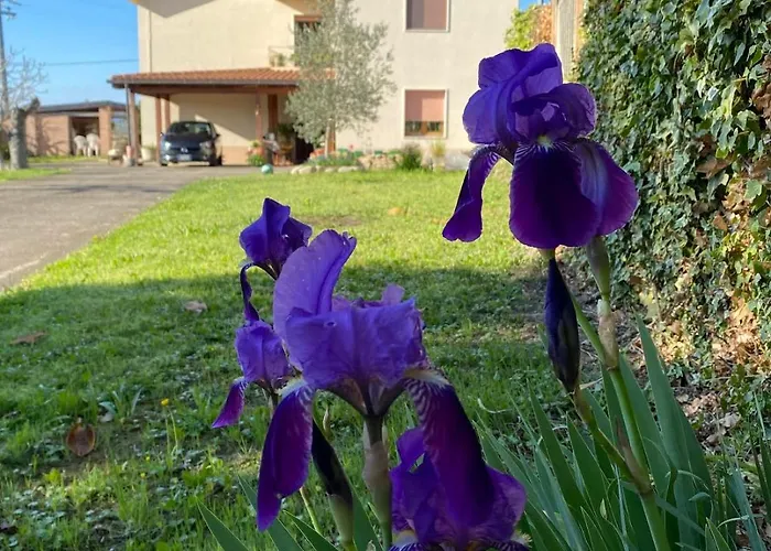 Flavia 21 Alojamento de Acomodação e Pequeno-almoço Elice