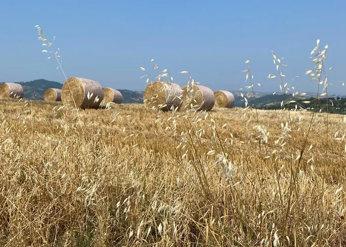 Flavia 21 Alojamento de Acomodação e Pequeno-almoço *